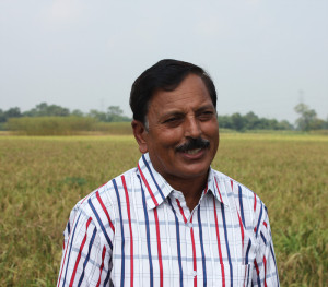 Satish Dwivedi has persuaded other farmers to DSR. Photo by Vivian Fernandes.