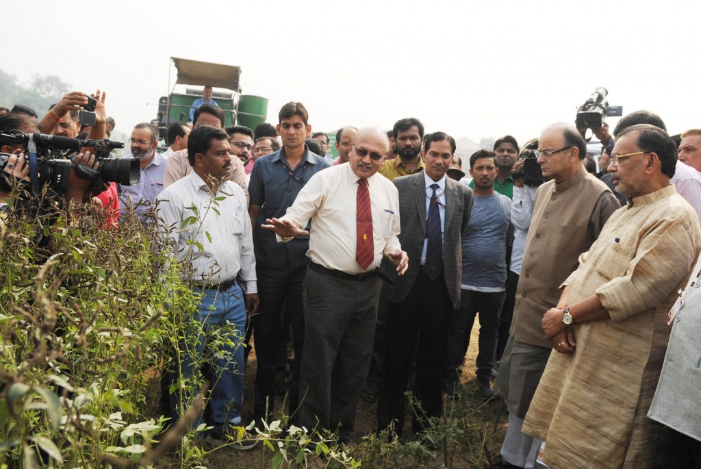 IARI's KV Prabhu showing Finance Minister Jaitley and Agriculture Minister Radha Mohan Singh the high-yielding pigeonpea variety his developed has developed. Photo: PIB
